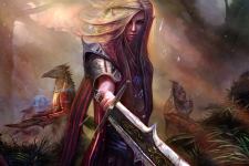 Elf Hunter Fantasy Warrior Girl 4k