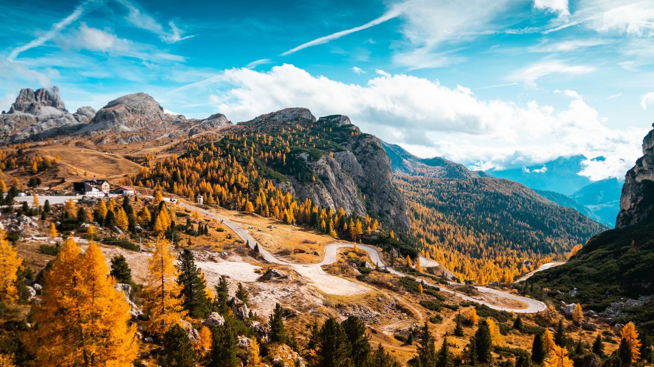 Italy Autumn Forest 4k Hd Wallpaper