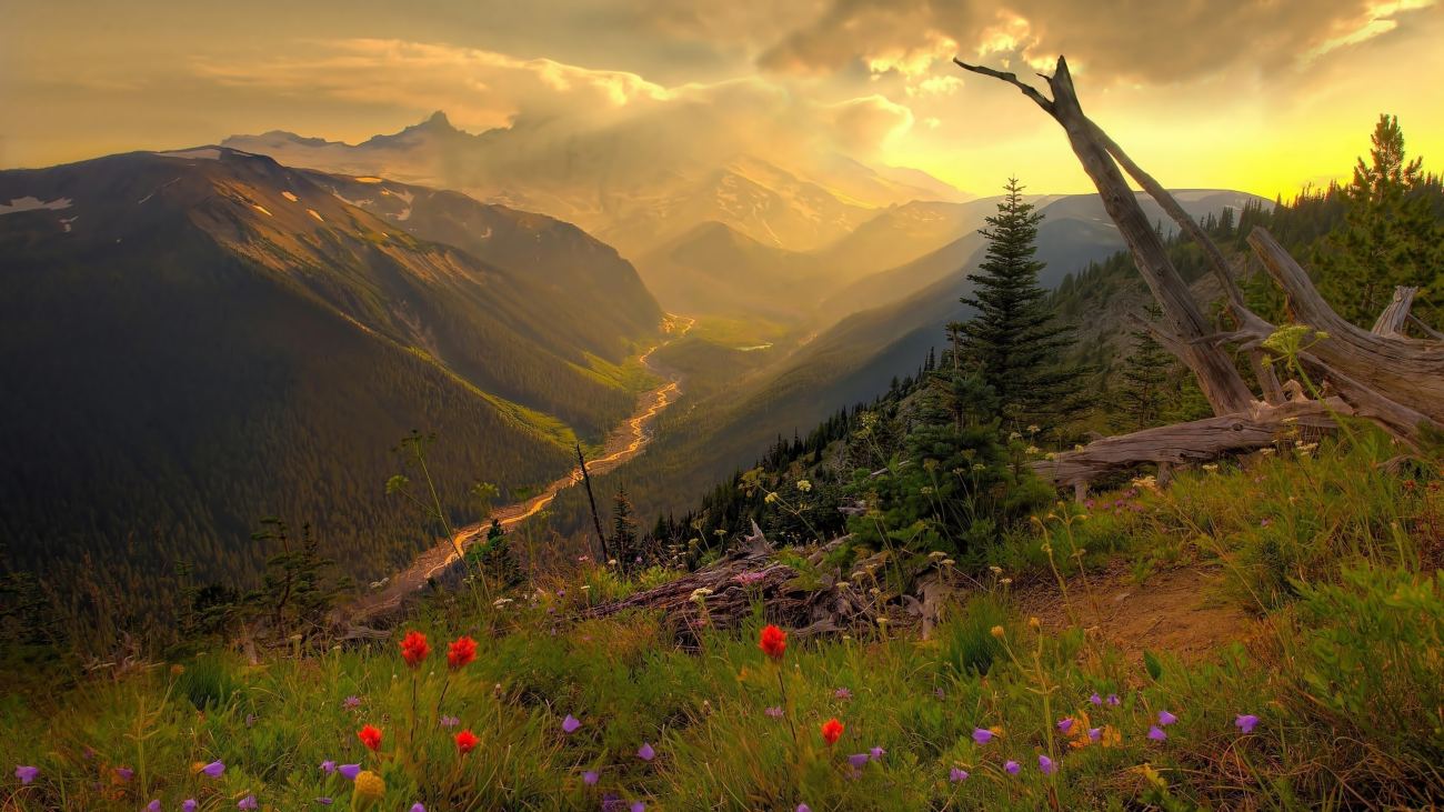 Mountain View From Top Hd New Image